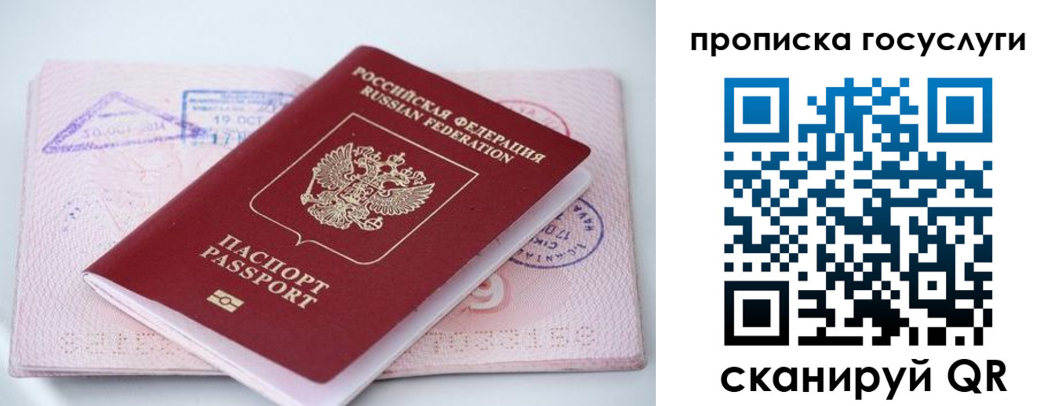 прописка законно в Купино
