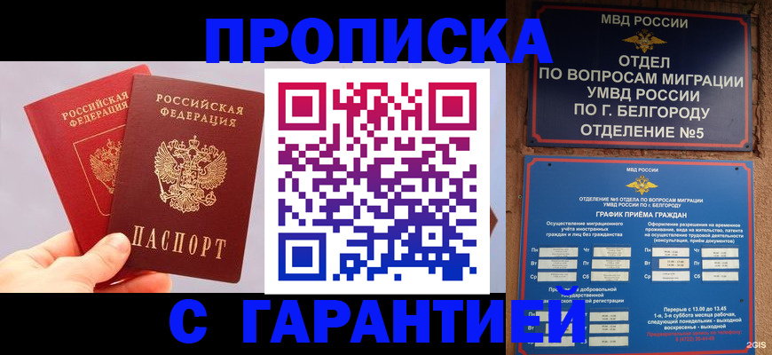 прописка 2025 в Купино